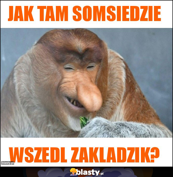 Jak tam somsiedzie Jak tam somsiedzie