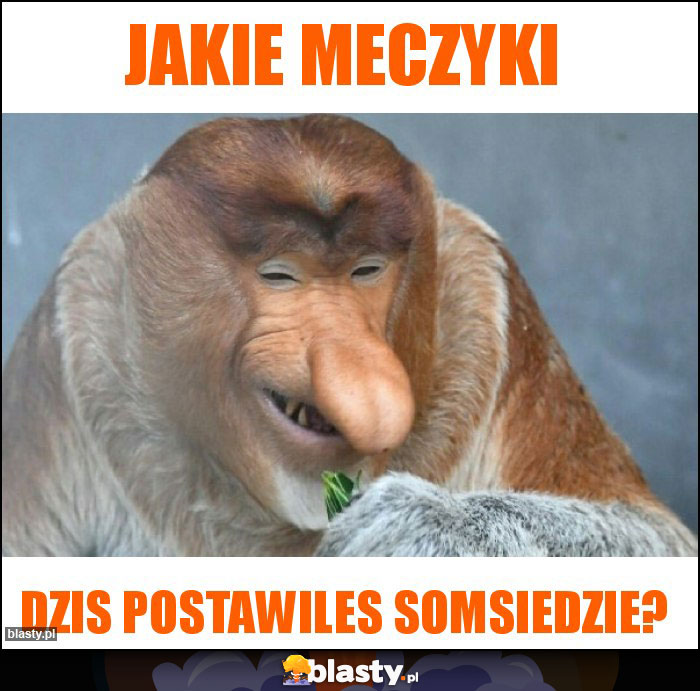 Jakie meczyki Jakie meczyki