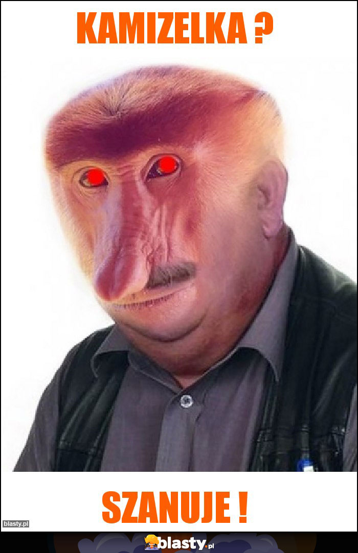 Kamizelka ? Kamizelka ?