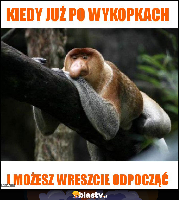 Kiedy już po wykopkach Kiedy już po wykopkach