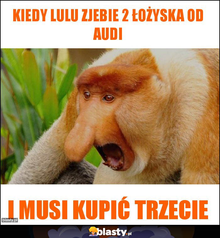 Kiedy Lulu zjebie 2 łożyska od audi Kiedy Lulu zjebie 2 łożyska od audi