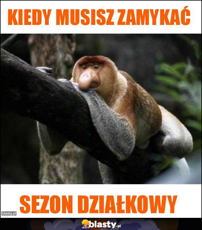 kiedy musisz zamykać kiedy musisz zamykać