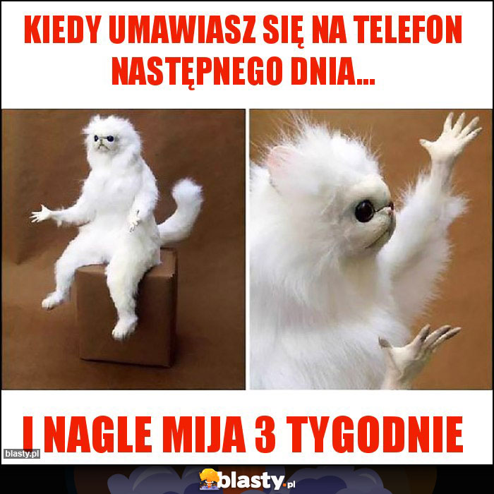 Kiedy umawiasz się na telefon następnego dnia... Kiedy umawiasz się na telefon następnego dnia...