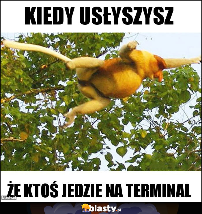 Kiedy usłyszysz Kiedy usłyszysz