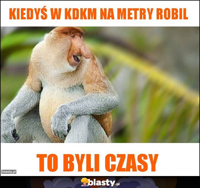 Kiedyś w KDKM na metry robil Kiedyś w KDKM na metry robil