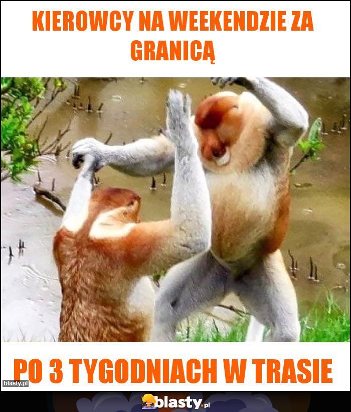 Kierowcy na weekendzie za granicą Kierowcy na weekendzie za granicą