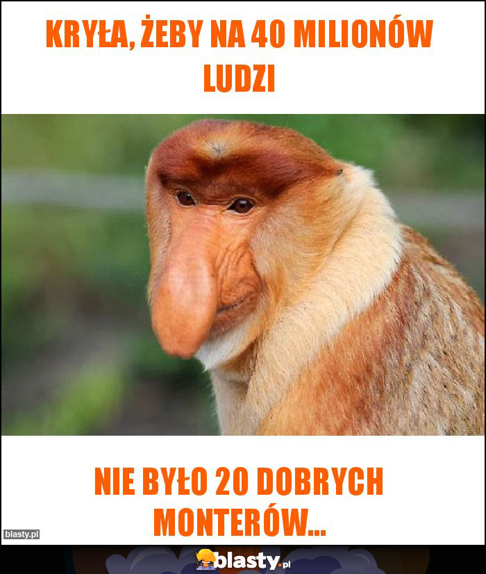 Kryła, żeby na 40 milionów ludzi Kryła, żeby na 40 milionów ludzi