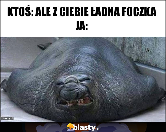 Ktoś: ale z ciebie ładna foczka Ja: Ktoś: ale z ciebie ładna foczka Ja: