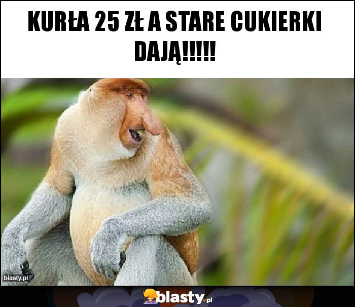 Kurła 25 zł a stare cukierki dają!!!!! Kurła 25 zł a stare cukierki dają!!!!!