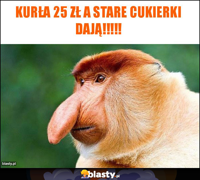 Kurła 25 zł a stare cukierki dają!!!!! Kurła 25 zł a stare cukierki dają!!!!!