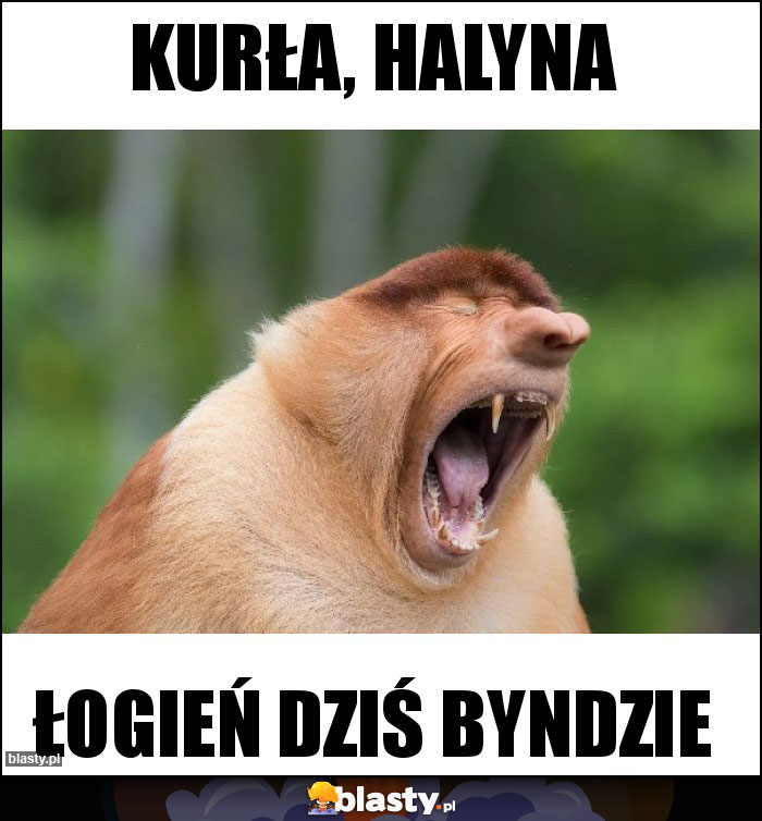 Kurła, Halyna Kurła, Halyna
