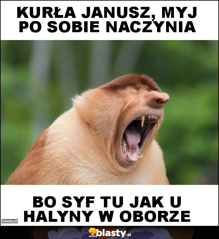 Kurła janusz, myj po sobie naczynia Kurła janusz, myj po sobie naczynia