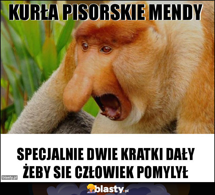 kurła pisorskie mendy kurła pisorskie mendy