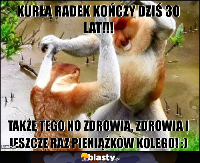 Kurła Radek kończy dziś 30 lat!!! Kurła Radek kończy dziś 30 lat!!!