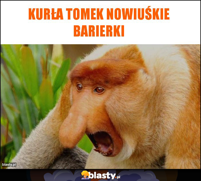 Kurła Tomek nowiuśkie barierki Kurła Tomek nowiuśkie barierki