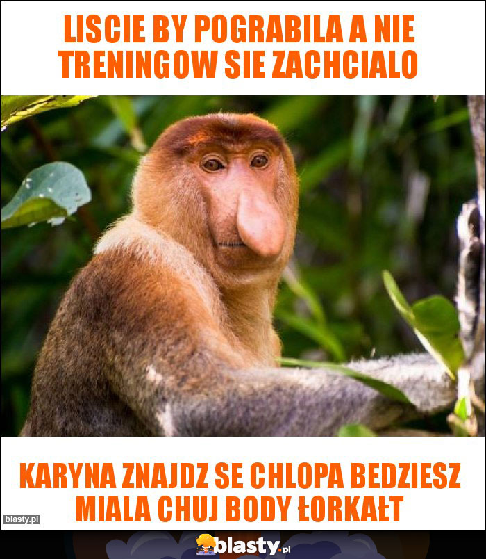 liscie by pograbila a nie treningow sie zachcialo liscie by pograbila a nie treningow sie zachcialo