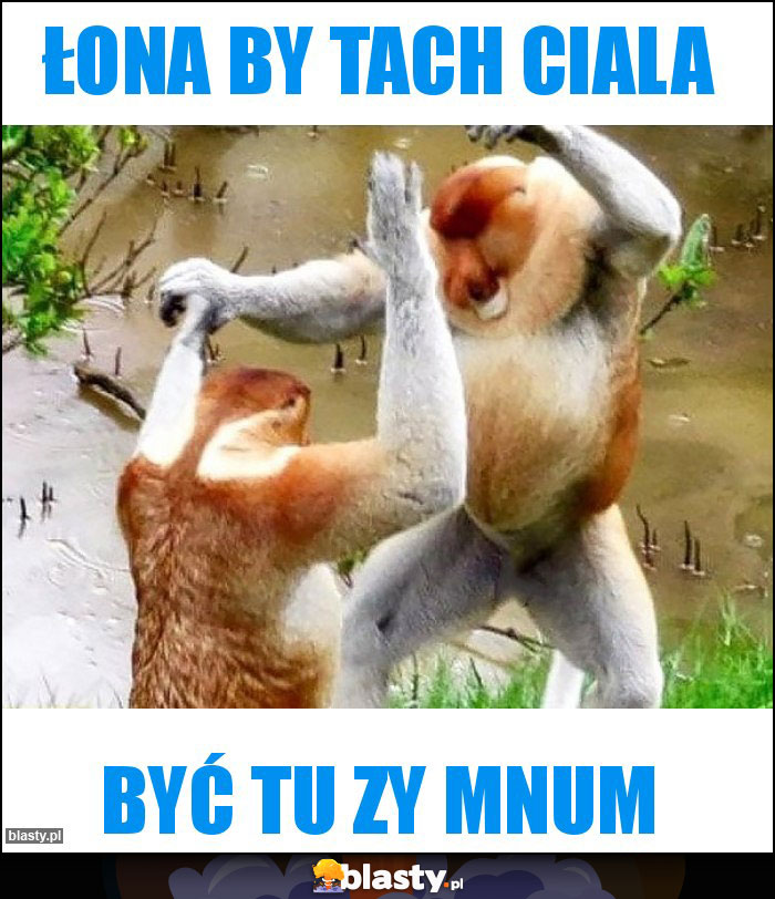 Łona by tach ciala Łona by tach ciala