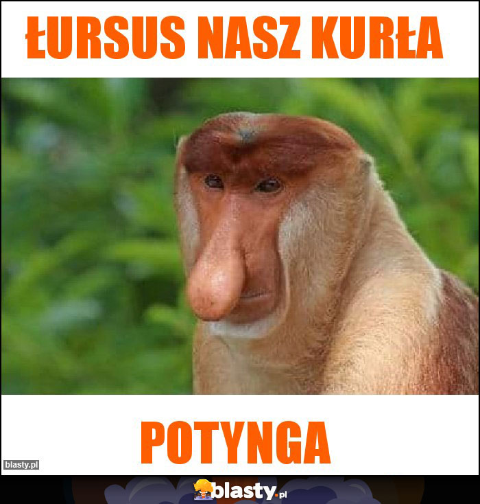 łursus nasz kurłA łursus nasz kurłA