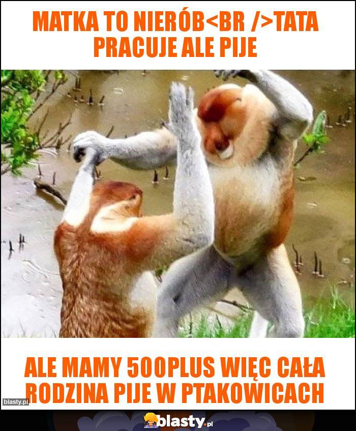 Matka to nierób
Tata pracuje ale pije Matka to nierób
Tata pracuje ale pije