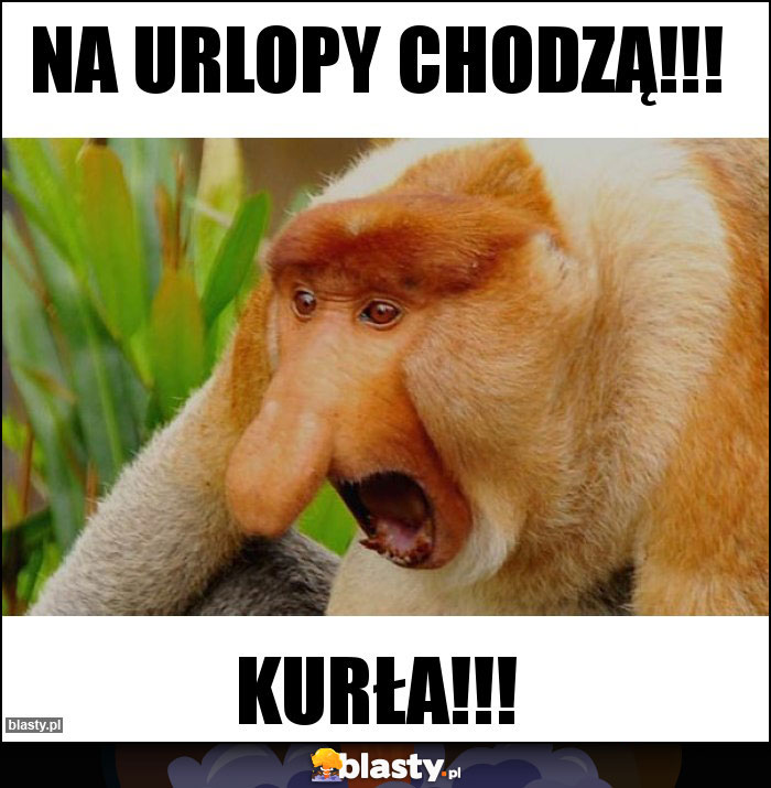 Na urlopy chodzą!!! Na urlopy chodzą!!!