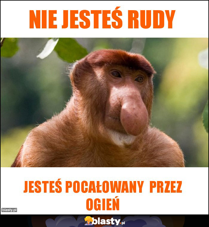Nie jesteś rudy Nie jesteś rudy