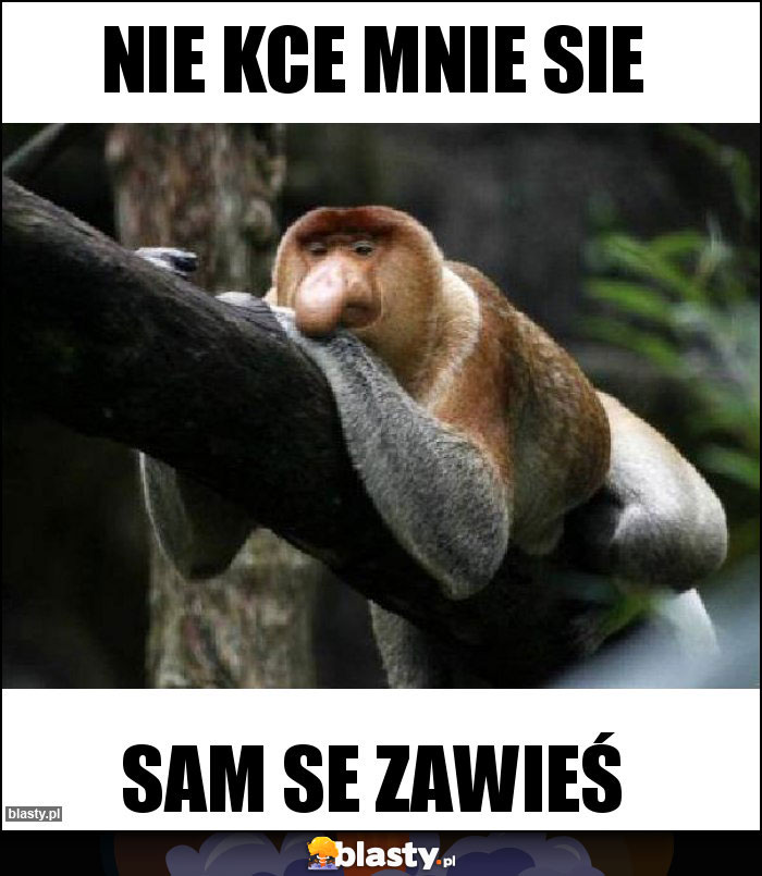 Nie kce mnie sie