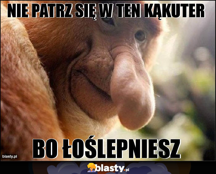 NIE PATRZ SIĘ W TEN KĄKUTER NIE PATRZ SIĘ W TEN KĄKUTER
