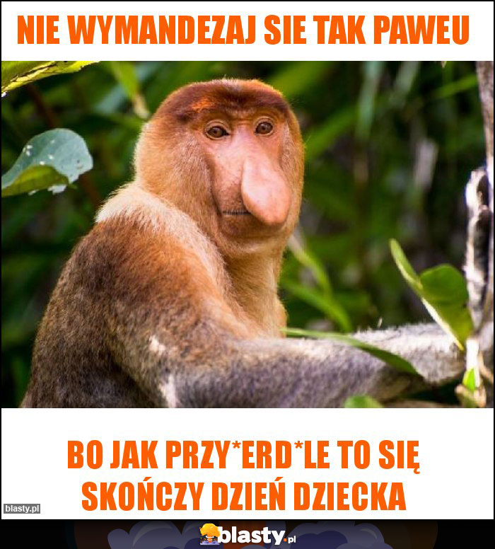 Nie wymandezaj sie tak Paweu Nie wymandezaj sie tak Paweu