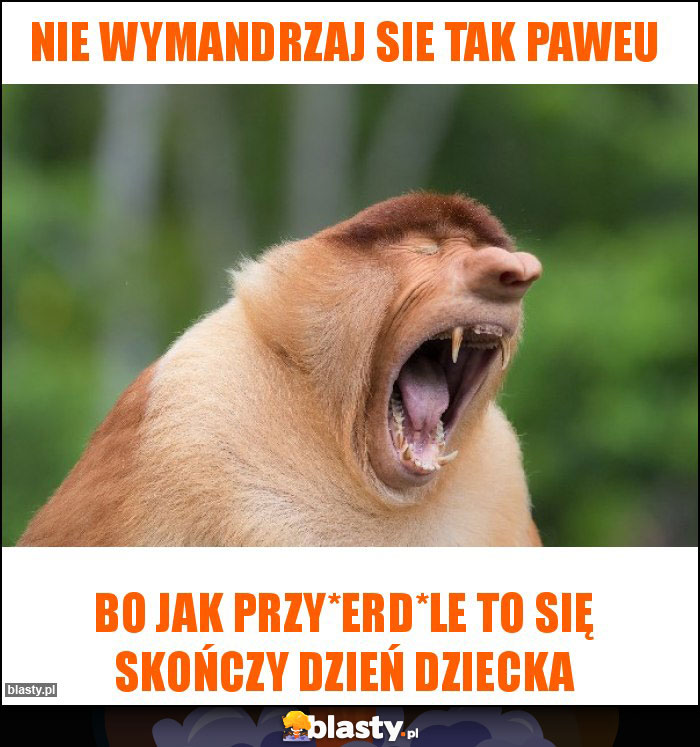 Nie wymandrzaj sie tak Paweu Nie wymandrzaj sie tak Paweu
