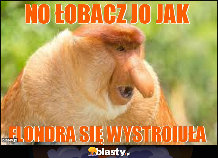 No łobacz jo jak No łobacz jo jak