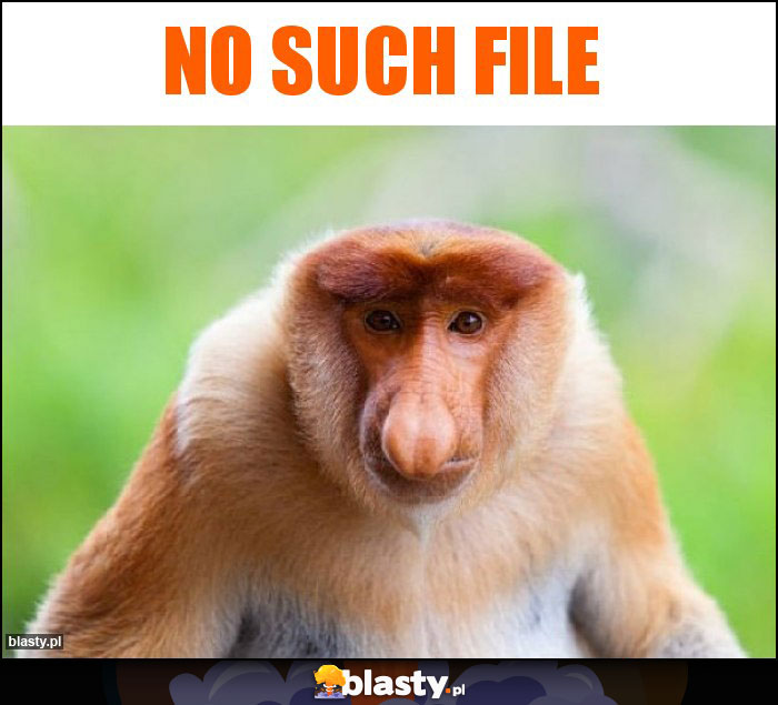 no such file no such file