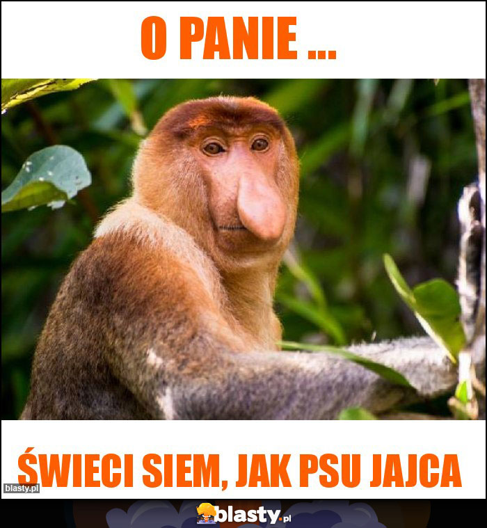 O panie ... O panie ...