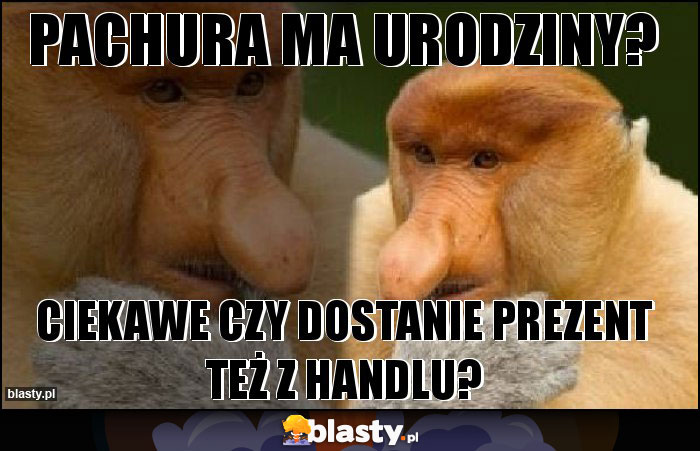PACHURA MA URODZINY? PACHURA MA URODZINY?