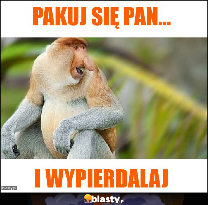 Pakuj się Pan... Pakuj się Pan...
