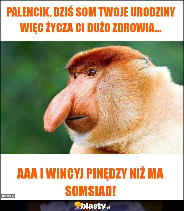 PALENCIK, DZIŚ SOM TWOJE URODZINY WIĘC ŻYCZA CI DUŻO ZDROWIA... PALENCIK, DZIŚ SOM TWOJE URODZINY WIĘC ŻYCZA CI DUŻO ZDROWIA...