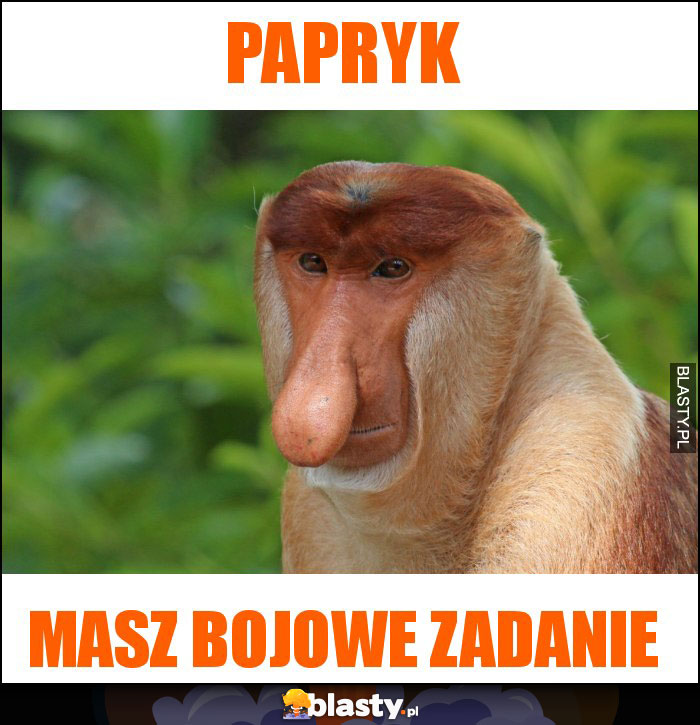 Papryk