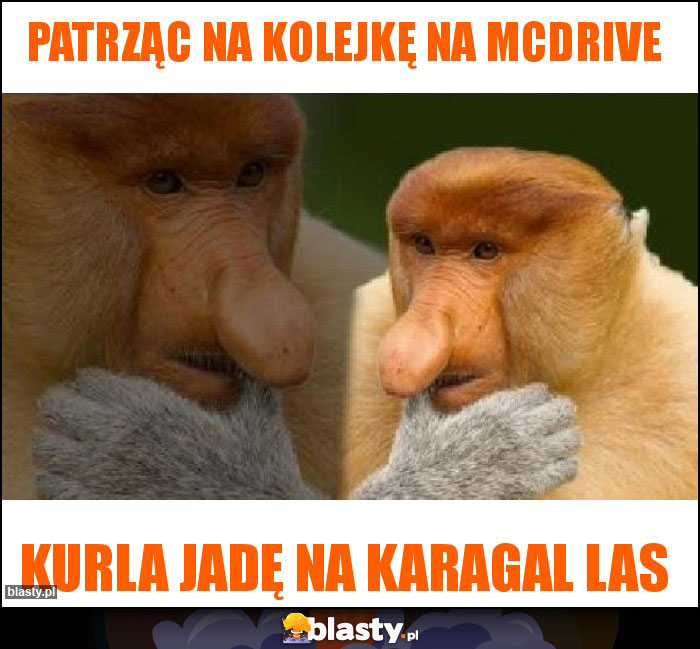 Patrząc na kolejkę na mcdrive