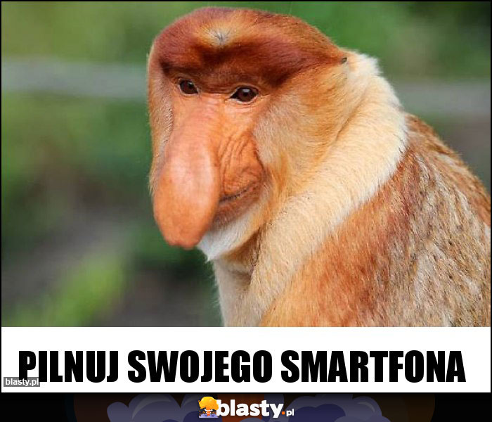 Pilnuj swojego smartfona Pilnuj swojego smartfona