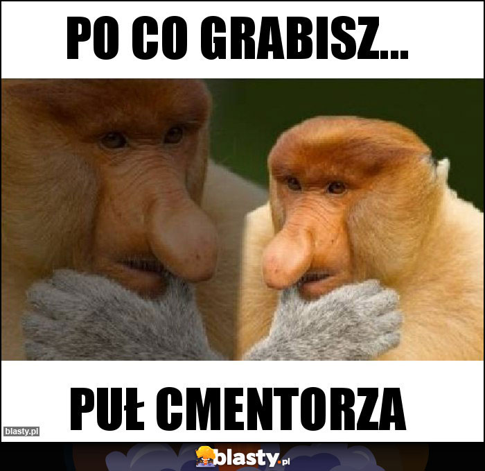 Po co grabisz... Po co grabisz...