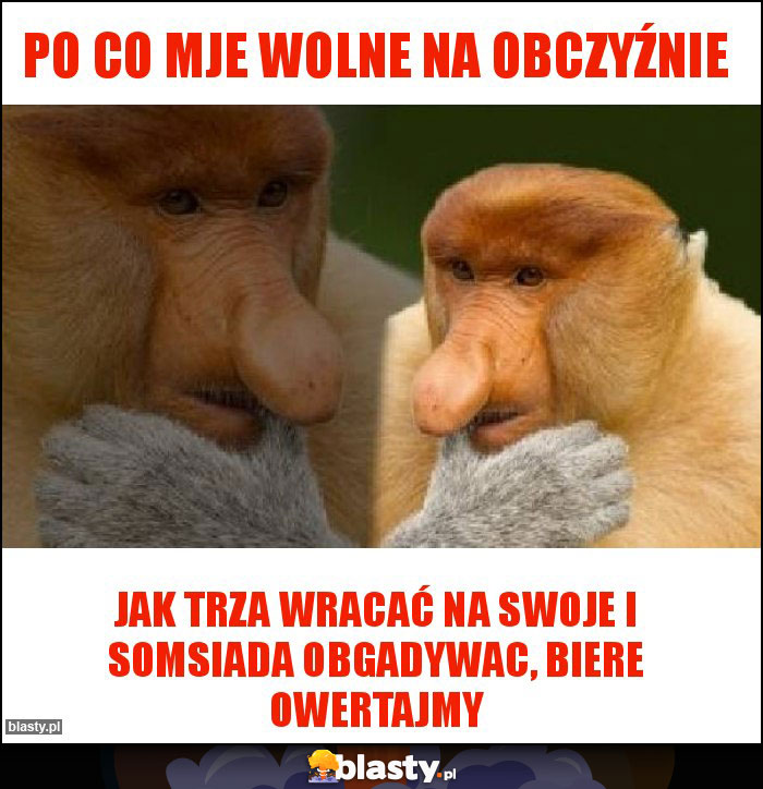 Po co mje wolne na obczyźnie Po co mje wolne na obczyźnie