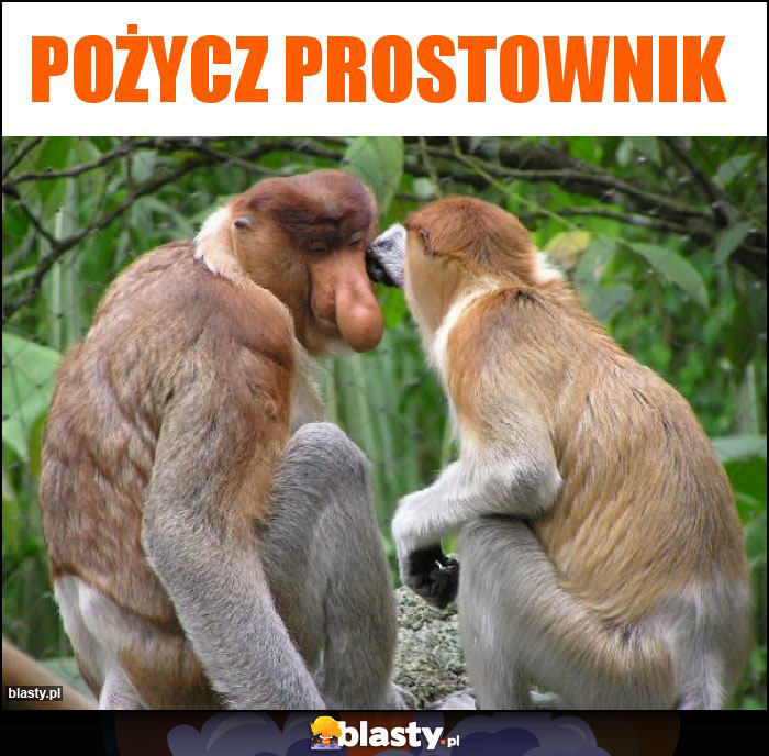 Pożycz prostownik Pożycz prostownik