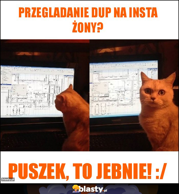 Przegladanie dup na insta żony? Przegladanie dup na insta żony?