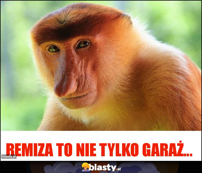 Remiza to nie tylko garaż...