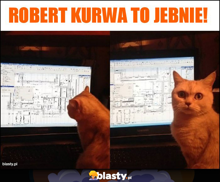 Robert kurwa to jebnie! Robert kurwa to jebnie!