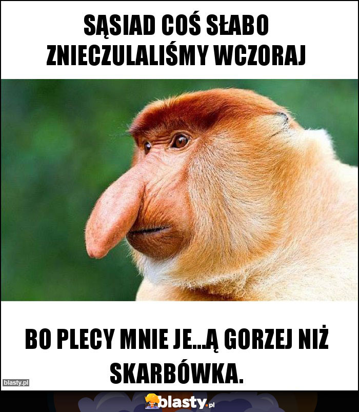 Sąsiad coś słabo znieczulaliśmy wczoraj Sąsiad coś słabo znieczulaliśmy wczoraj