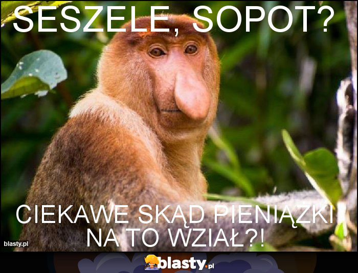 Seszele, sopot? Seszele, sopot?