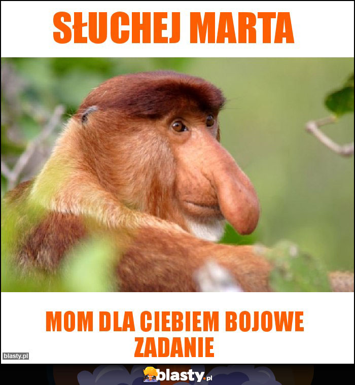 słuchej marta słuchej marta