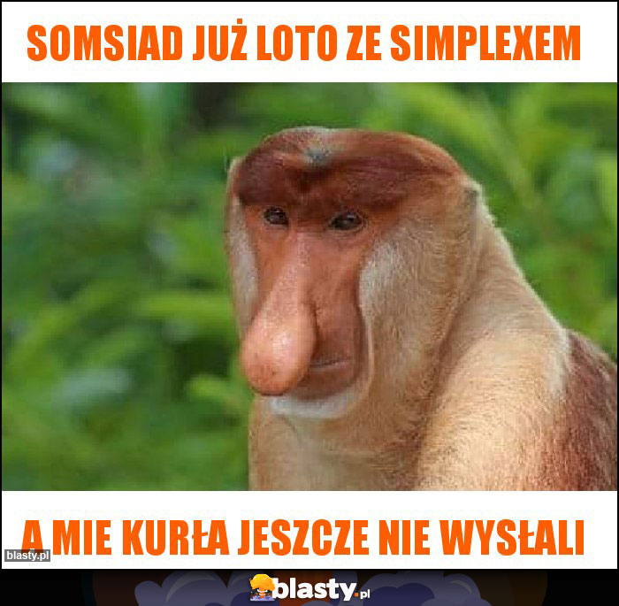 Somsiad już loto ze simplexem Somsiad już loto ze simplexem