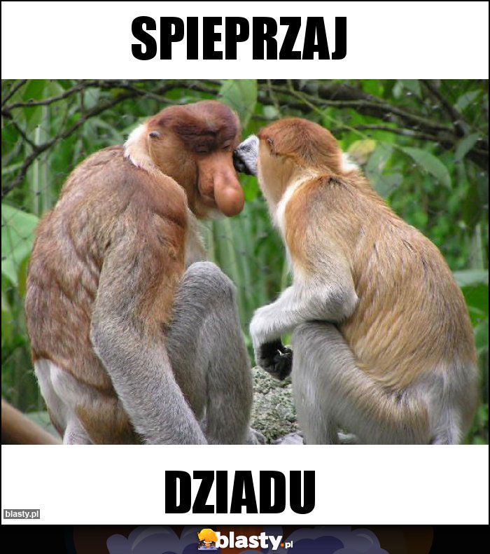 Spieprzaj