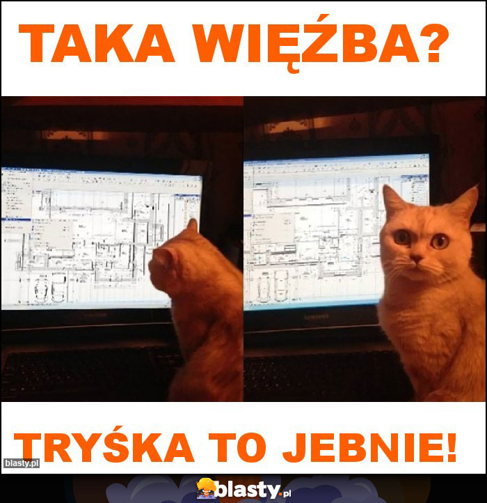 Taka więźba? Taka więźba?